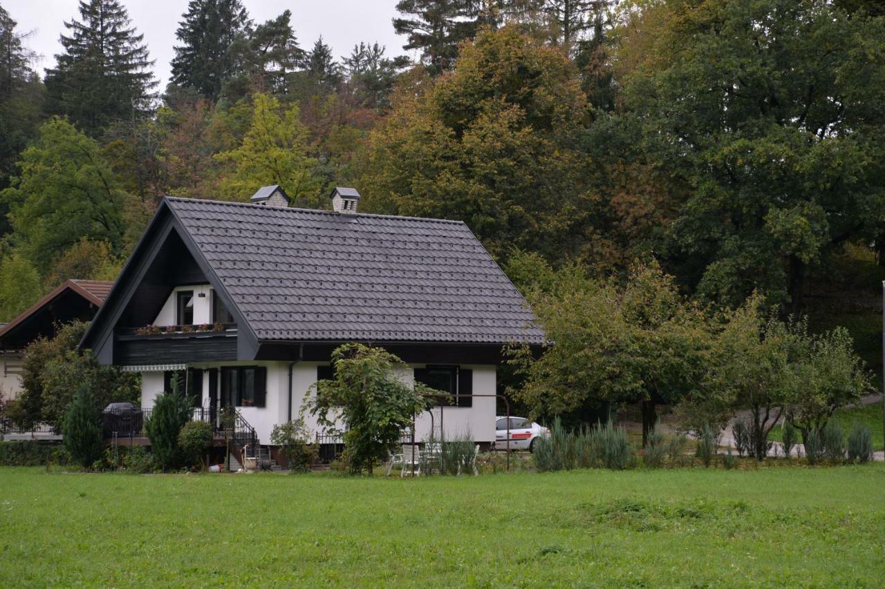 Vila Entire House Iris & Arnika Bled Exteriér fotografie